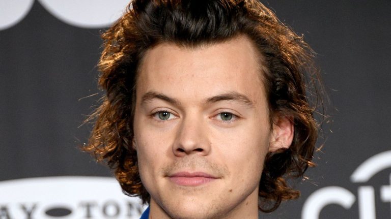 Harry Styles Reportedly Cast in Queer Drama “My Policeman” – PAPER – Papermag