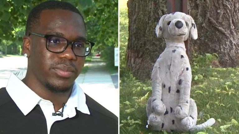 Inspiring essay about stuffed animal helps teen get into 20 schools – Yahoo News