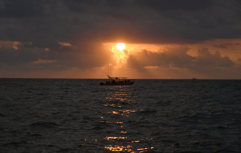 Video Shows Gay Mexican Boat Cruise Sinking on New Year’s Eve as Pandemic Ravages Region – Newsweek