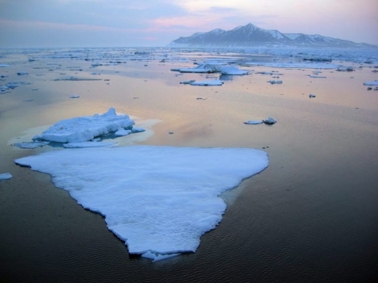 Warming Pacific waters likely adding to Arctic sea ice loss, study finds – Kotzebue Broadcasting Inc.