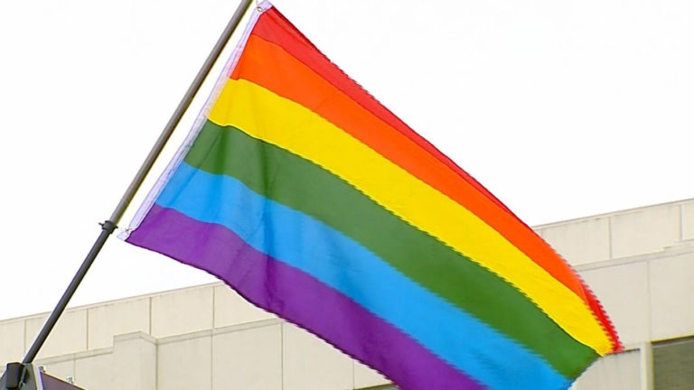 Fight for gay rights continues in Michigan – WOODTV.com