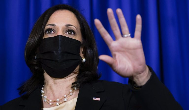 Kamala Harris makes time for gay pride parade not border – Washington Times