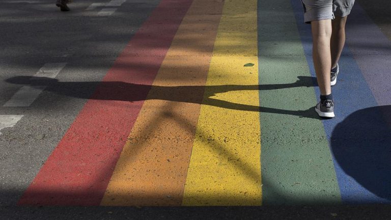 Vilnius police launch probe after LGBT crossing is painted over – Euronews